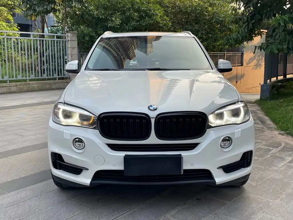 BMW X5 (Import) — миниатюра 2