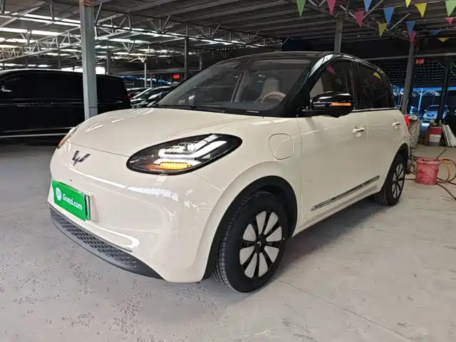 2025 Wuling Motors Binguo