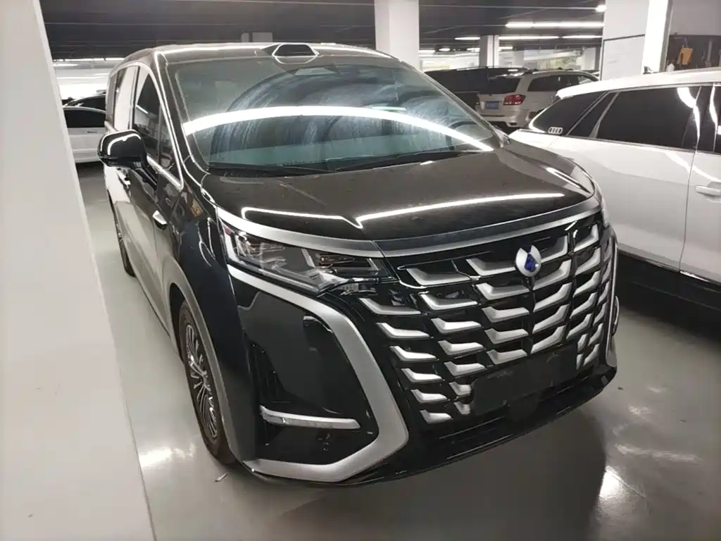 Denza Denza D9 — миниатюра 4