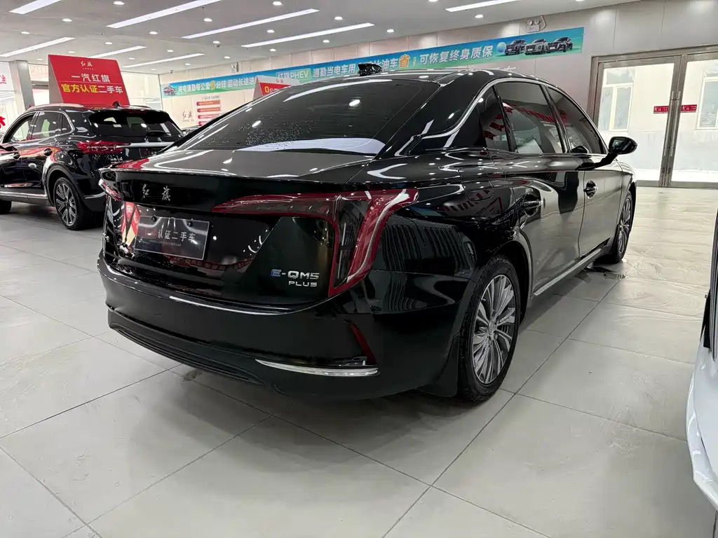Hongqi HONGQI E QM5