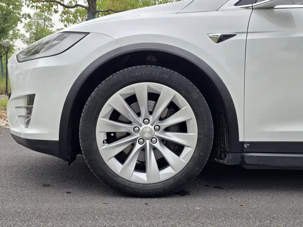 Tesla Model X — миниатюра 29
