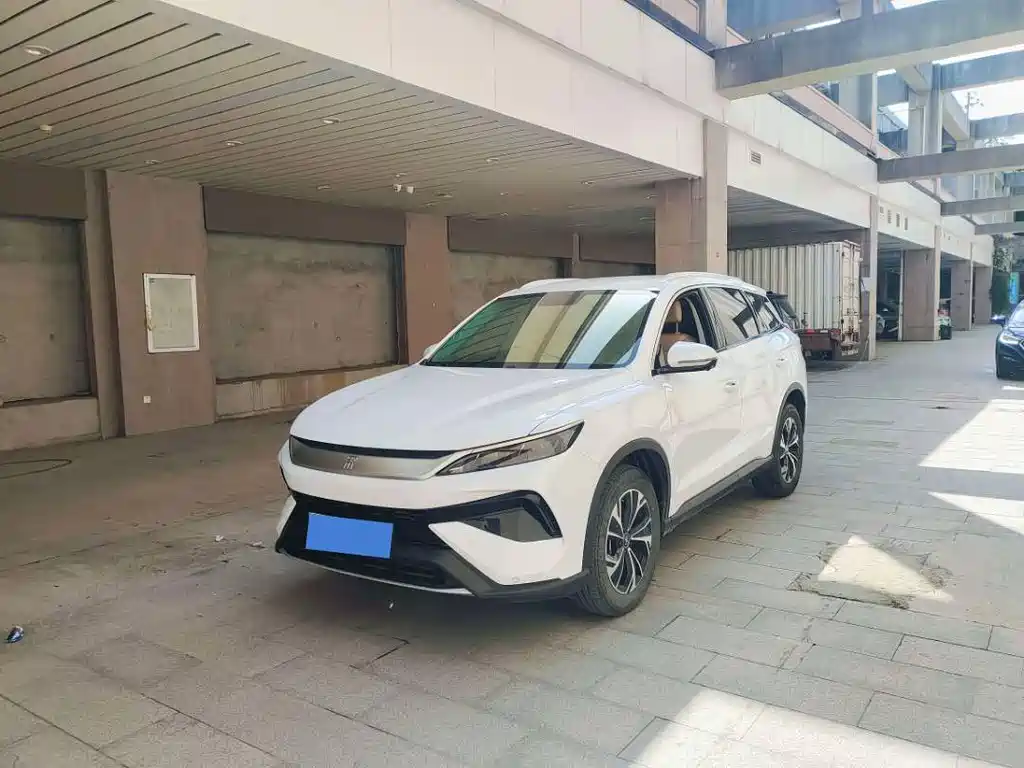 Byd Pro New Energy 2025