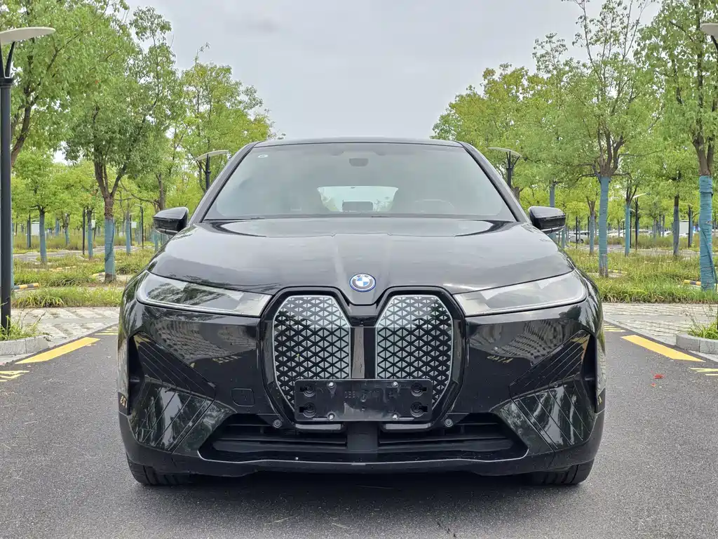 BMW iX — миниатюра 2