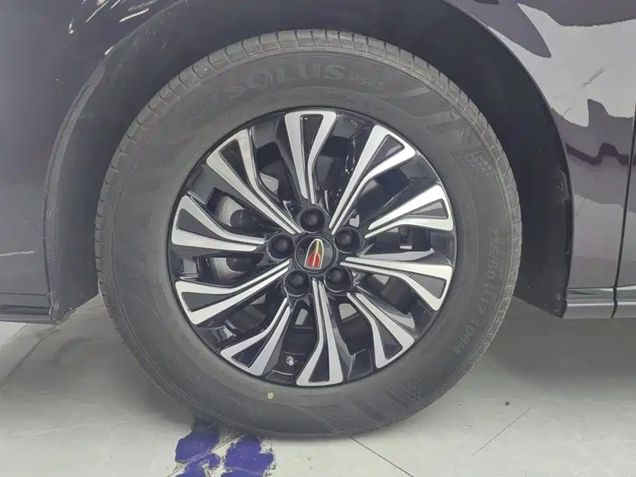 Hongqi HQ9 PHEV 2024 2.0T