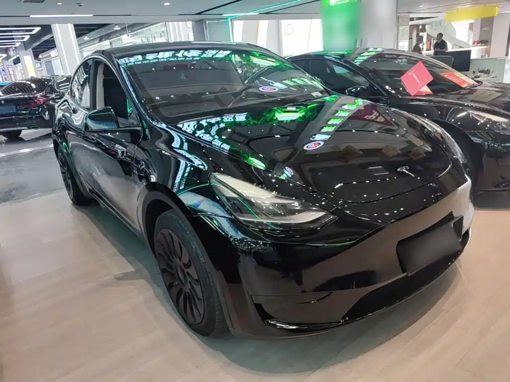 Tesla Model Y — миниатюра 4
