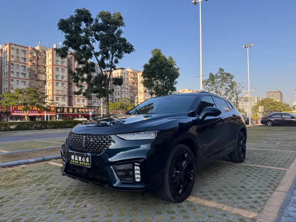 WEI PAI WEI BRAND VV7