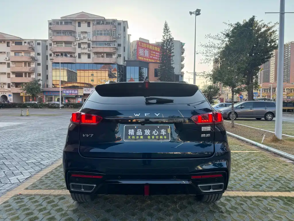 WEI PAI WEI BRAND VV7