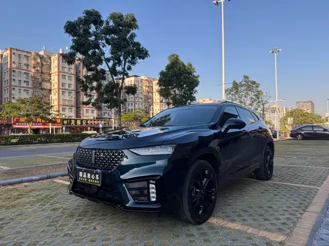 WEI PAI WEI BRAND VV7 2021