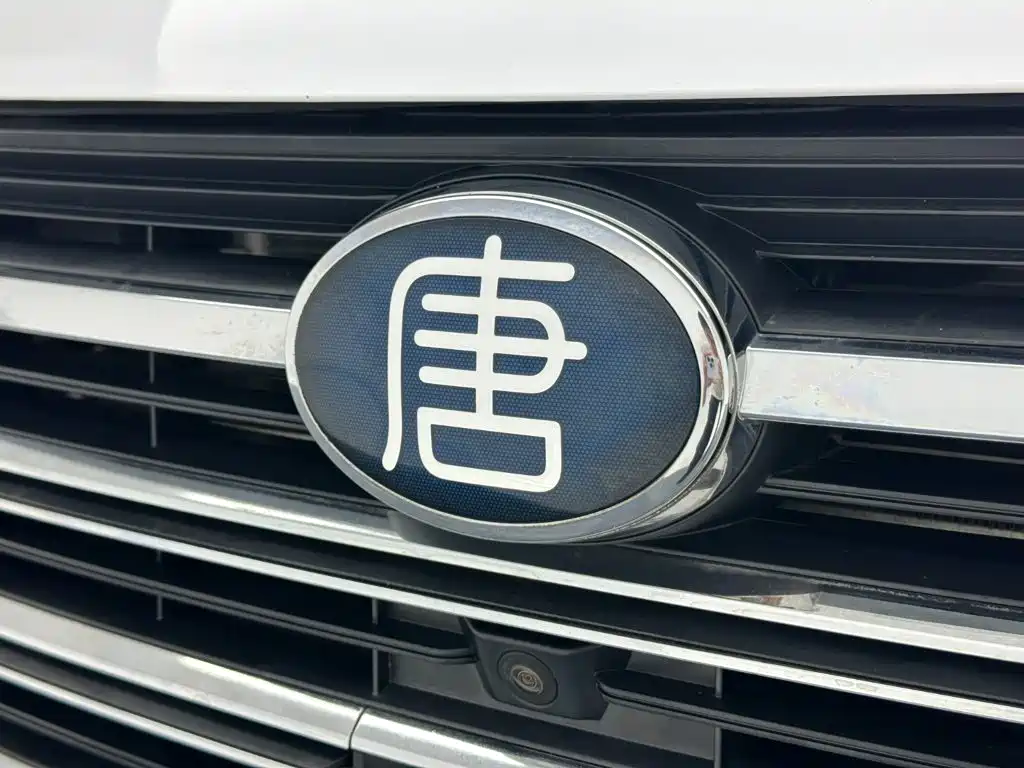 BYD Tang New Energy — миниатюра 26