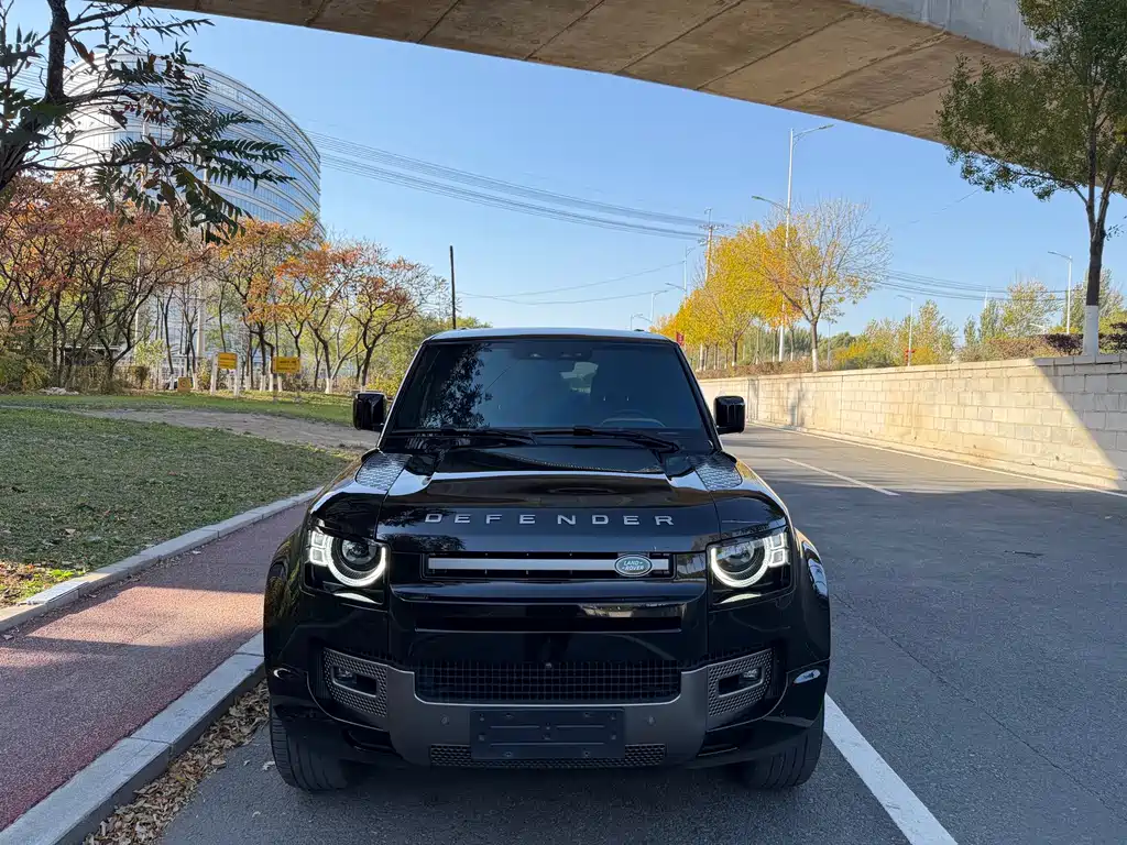 Land Rover Defender — миниатюра 2