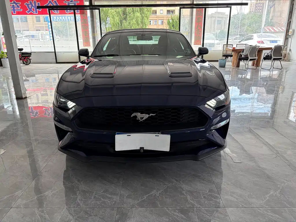 Ford Mustang — миниатюра 2