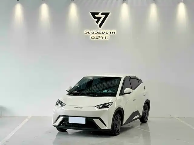 2025 BYD Seagull