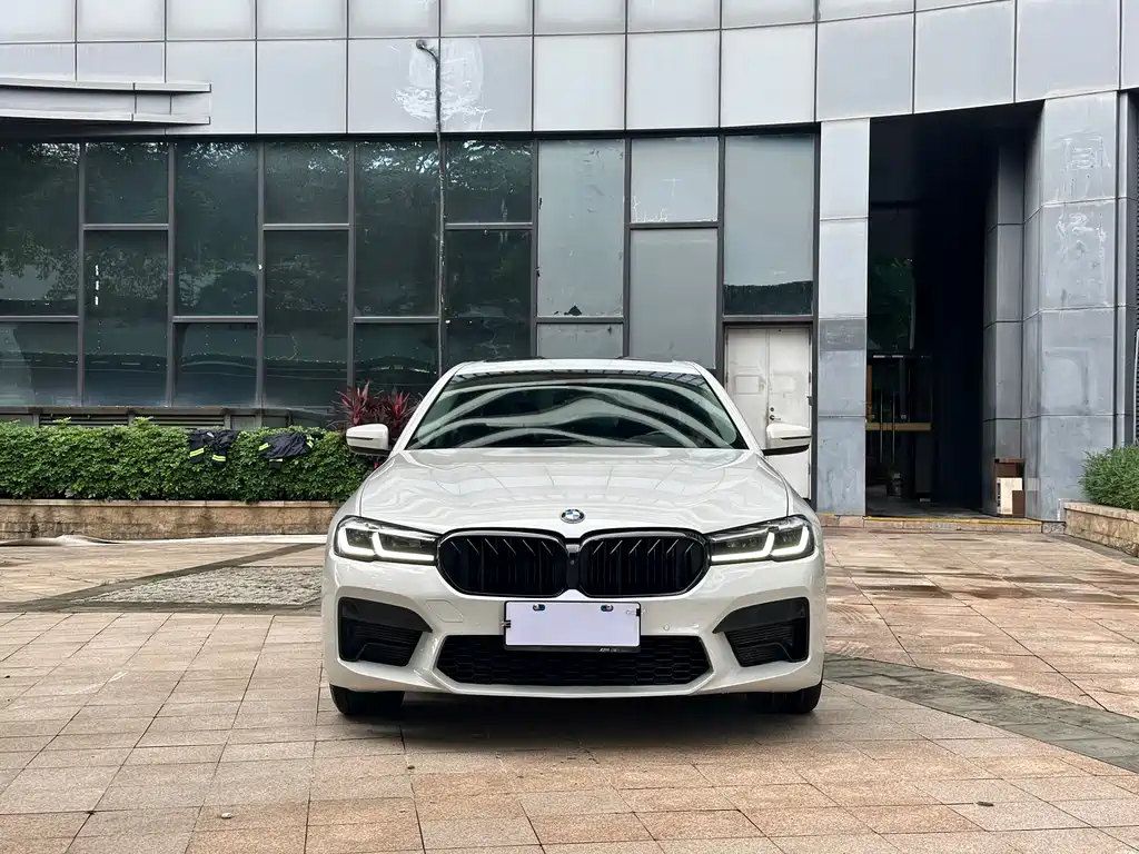 BMW 5 Series 5 2018 530Li Premium Luxury