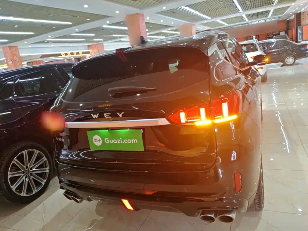 Wey Wey VV6 — миниатюра 6