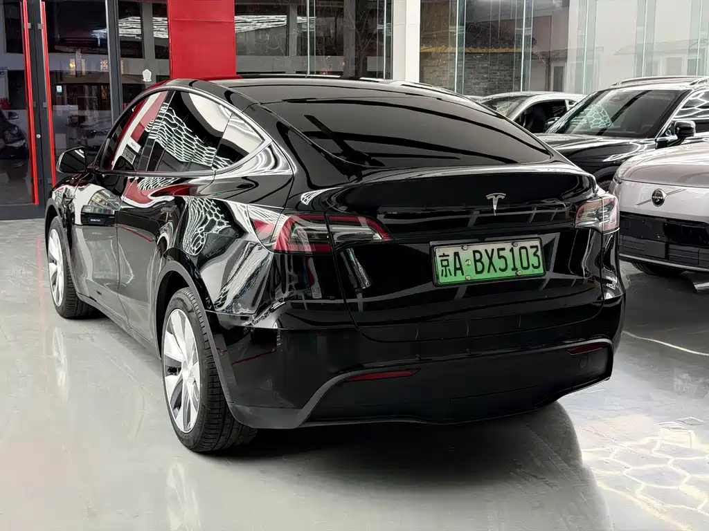 Tesla Model Y — миниатюра 10