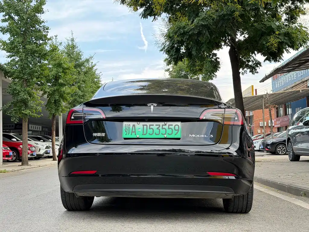 Tesla Model 3 — миниатюра 5