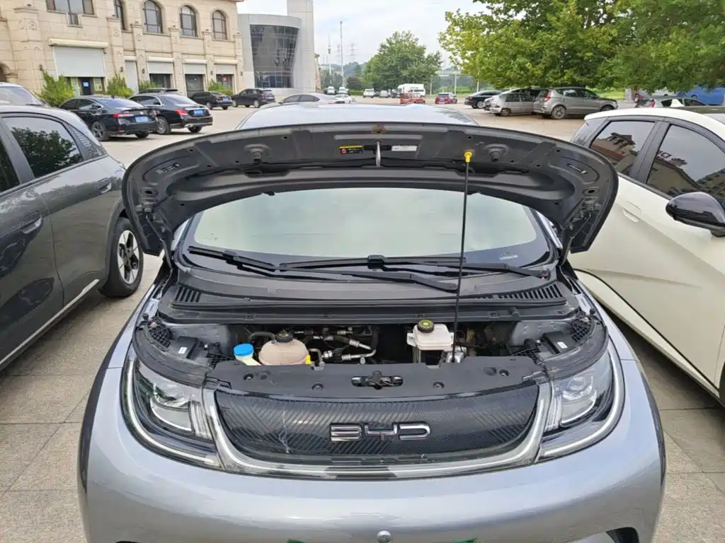 BYD Dolphin — миниатюра 20