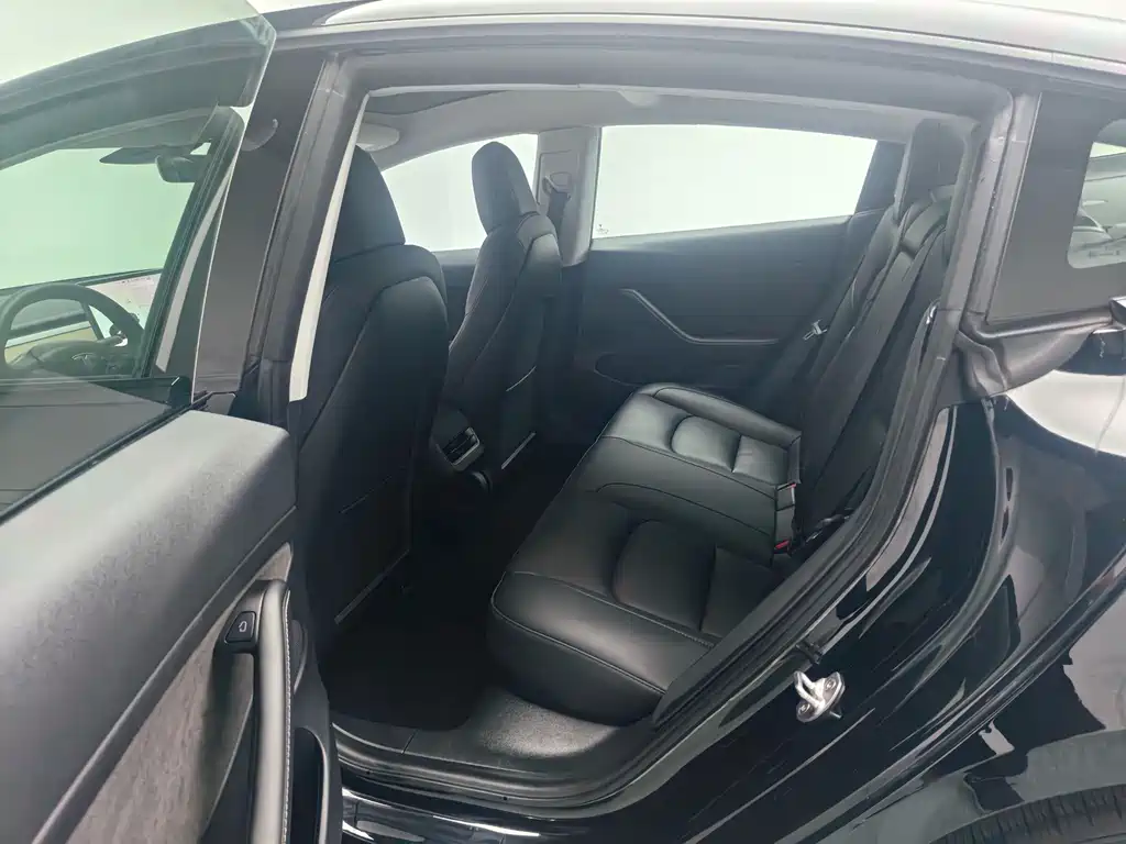 Tesla Model 3 — миниатюра 15