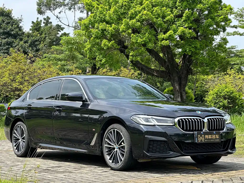 BMW 5 Series — миниатюра 3