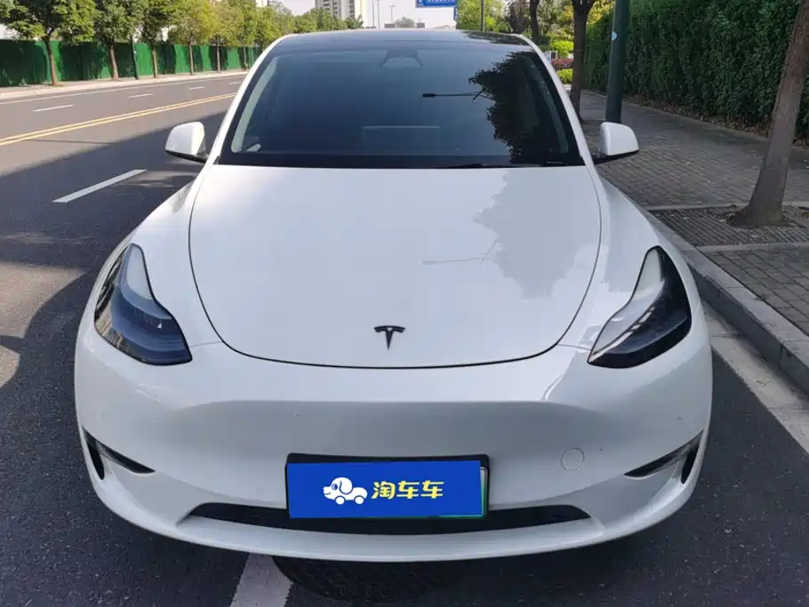 Tesla Model Y — миниатюра 2