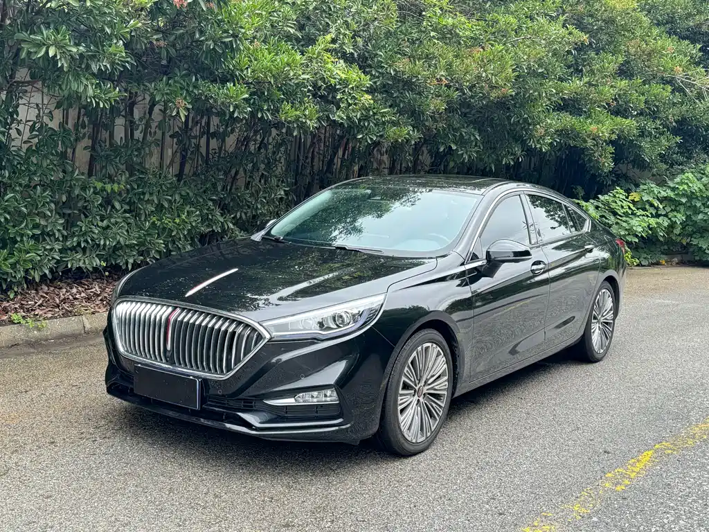 Hongqi Hongqi H5 2019
