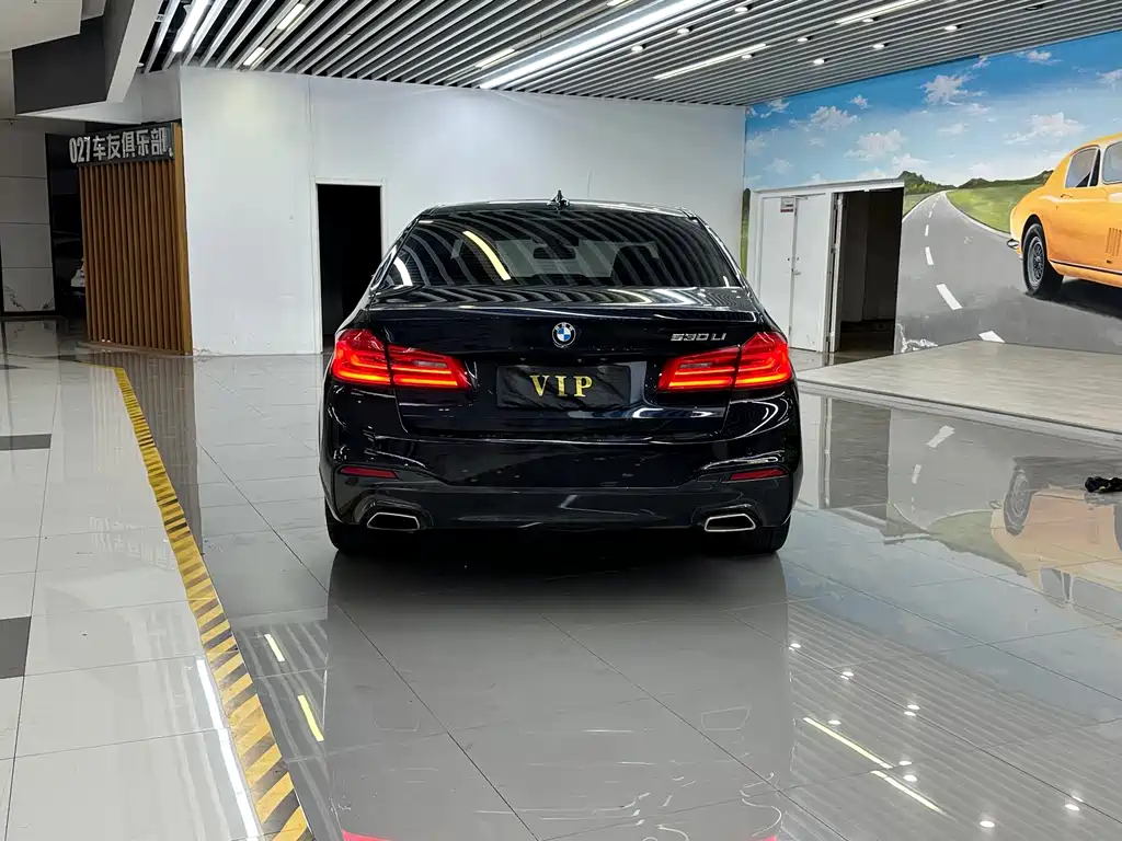 BMW 5 Series — миниатюра 5