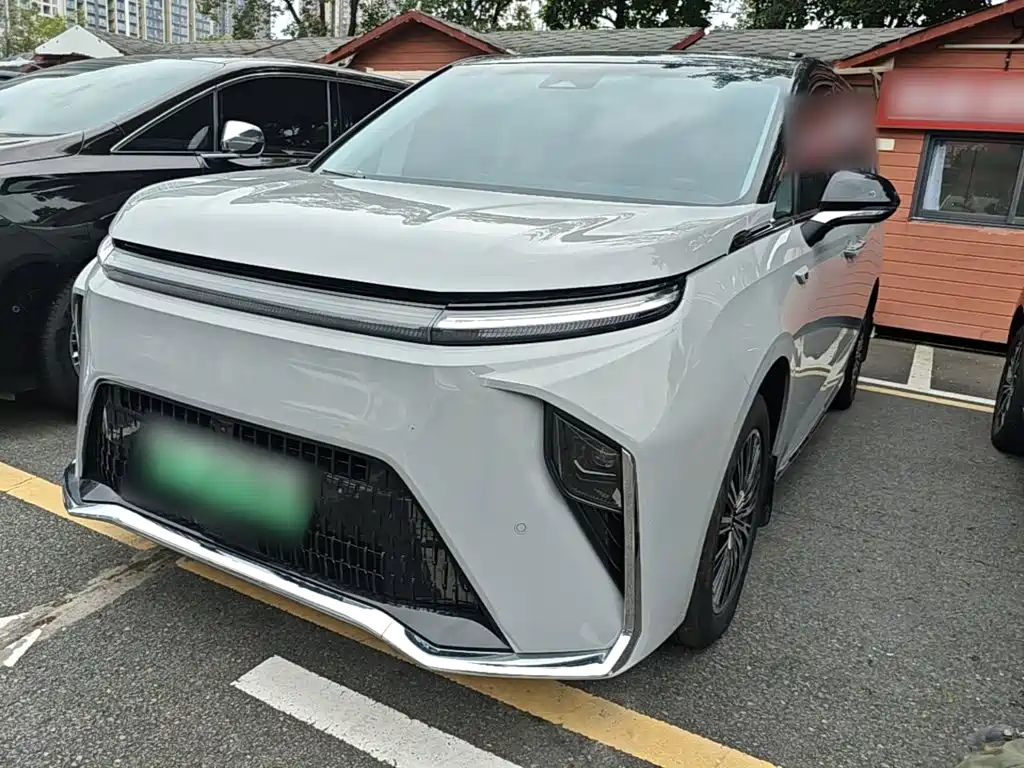 Maxus Dajia 9 — миниатюра 2