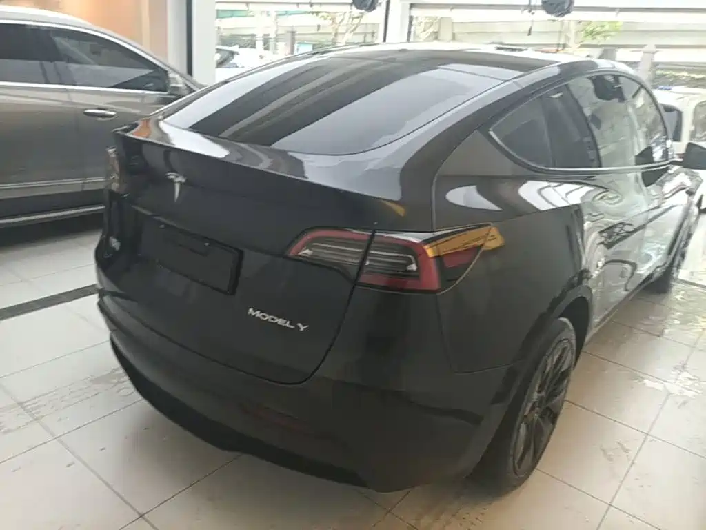 Tesla Model Y — миниатюра 7