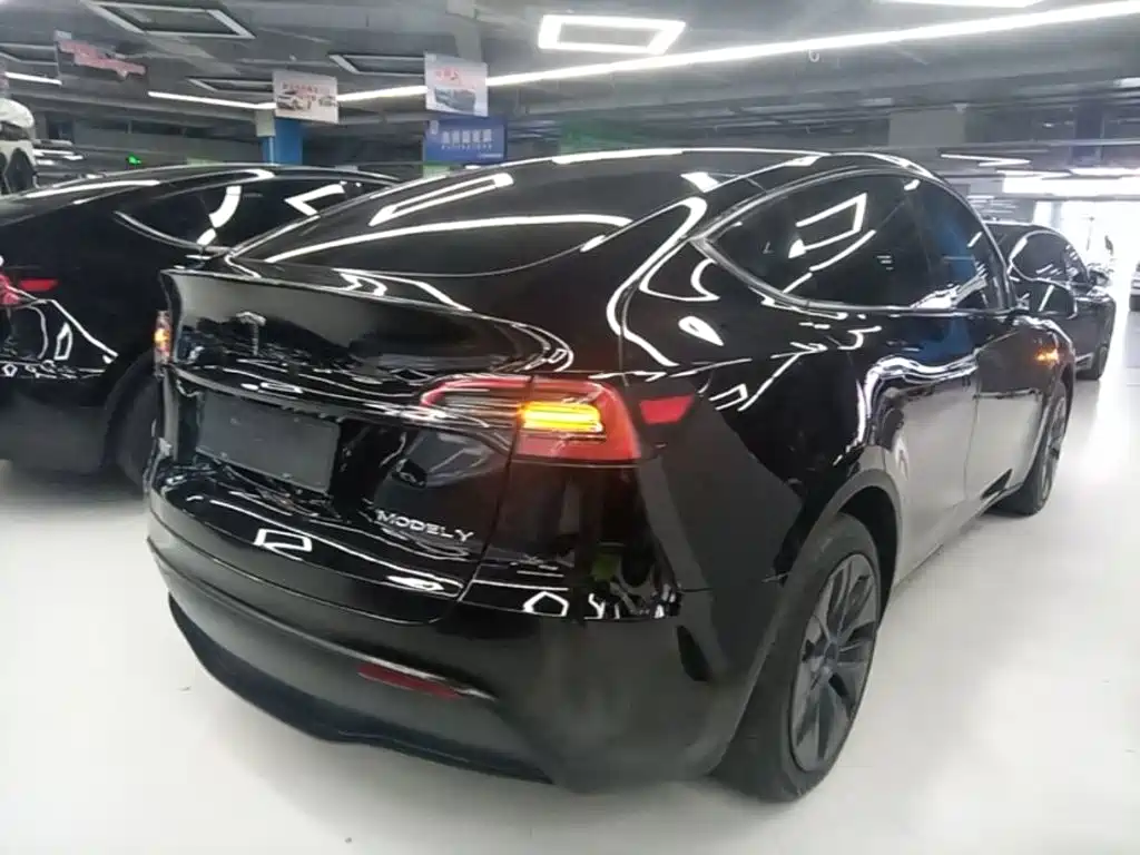 Tesla Model Y — миниатюра 7
