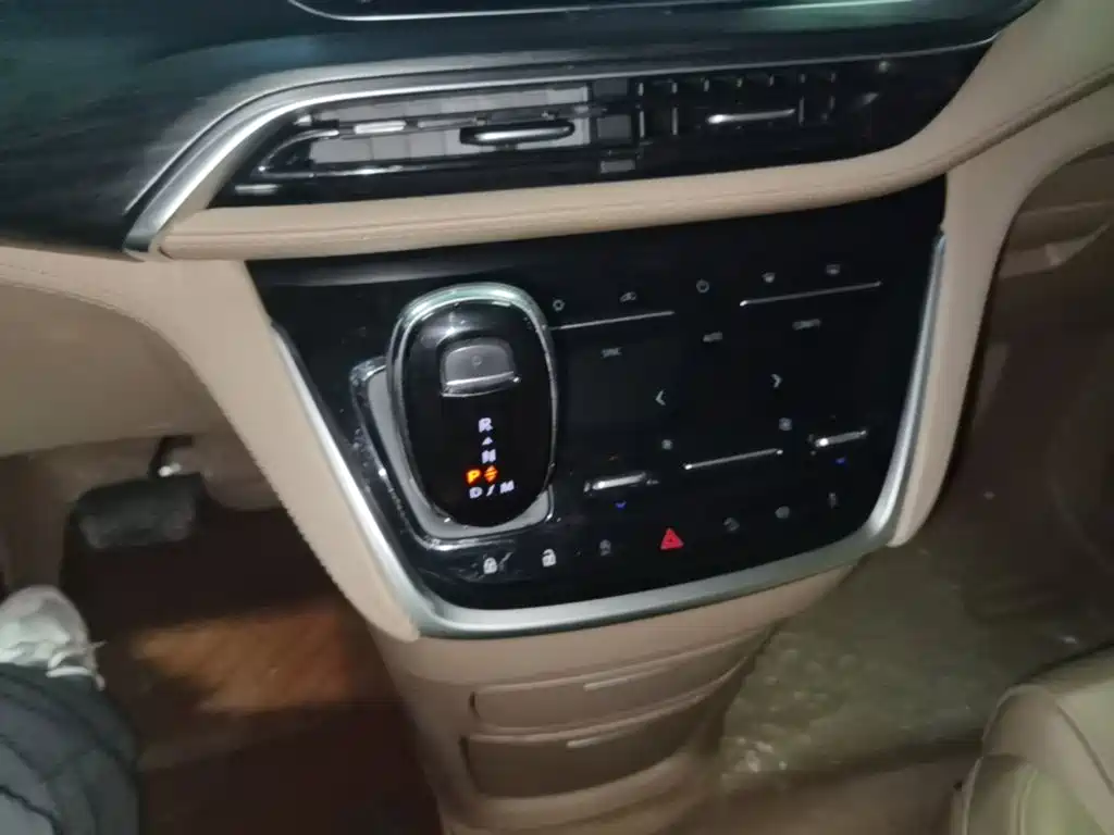 Buick GL8 — миниатюра 14