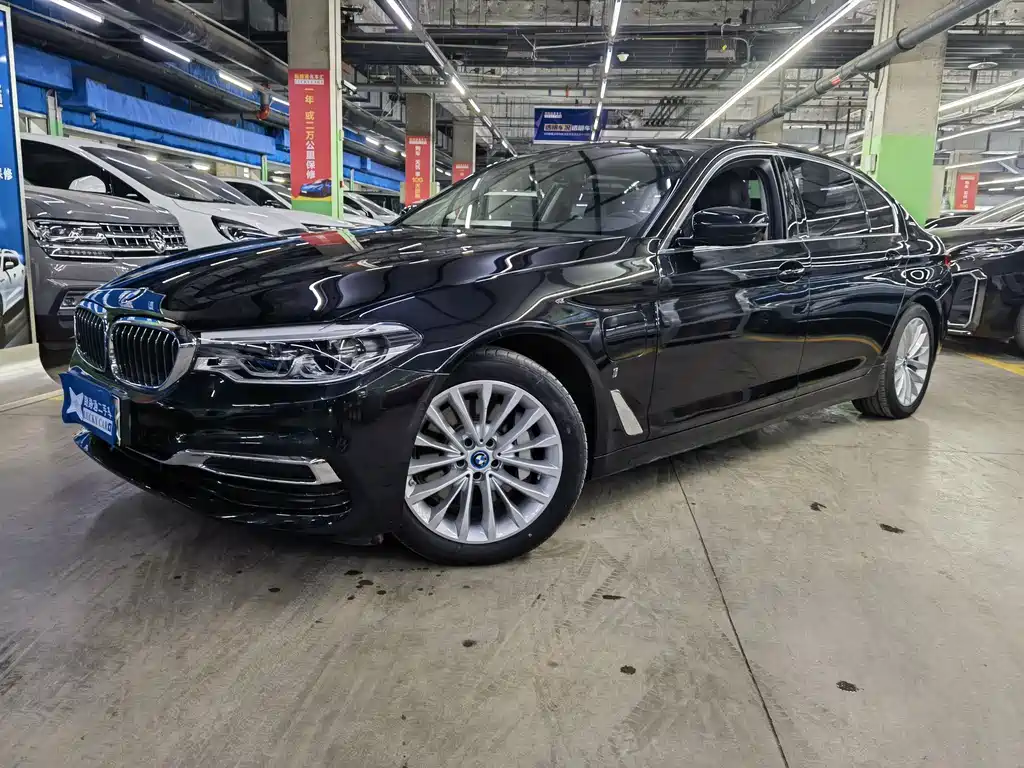 BMW 5 Series New Energy 2019