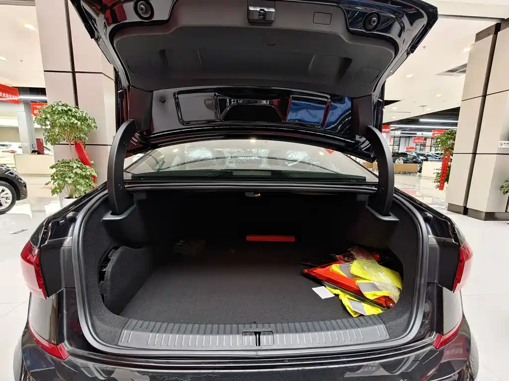 VOLKSWAGEN PASSAT NEW ENERGY