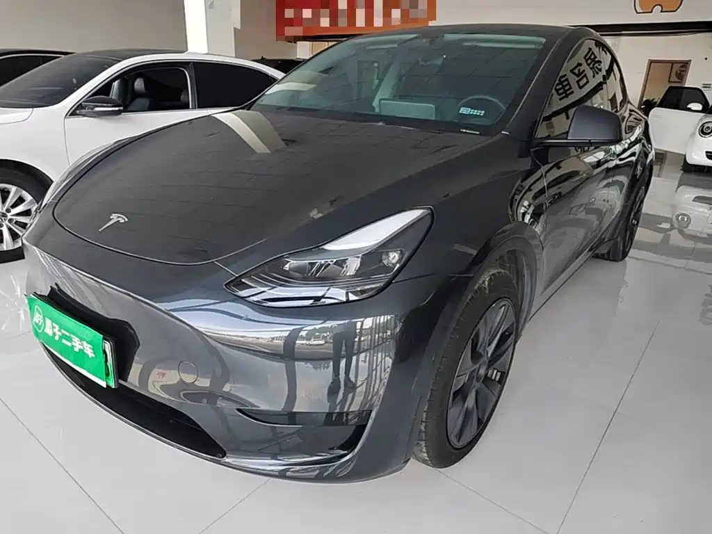 Tesla Model Y — миниатюра 2