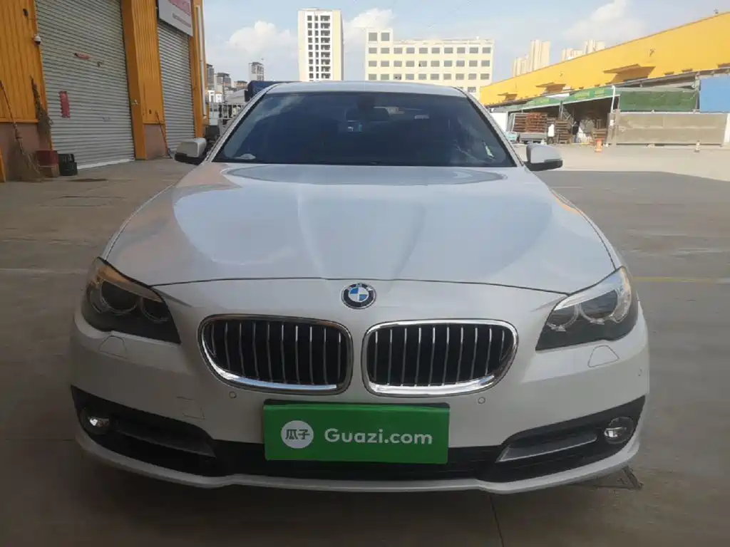 BMW 5 Series 5 2014 525Li Lead