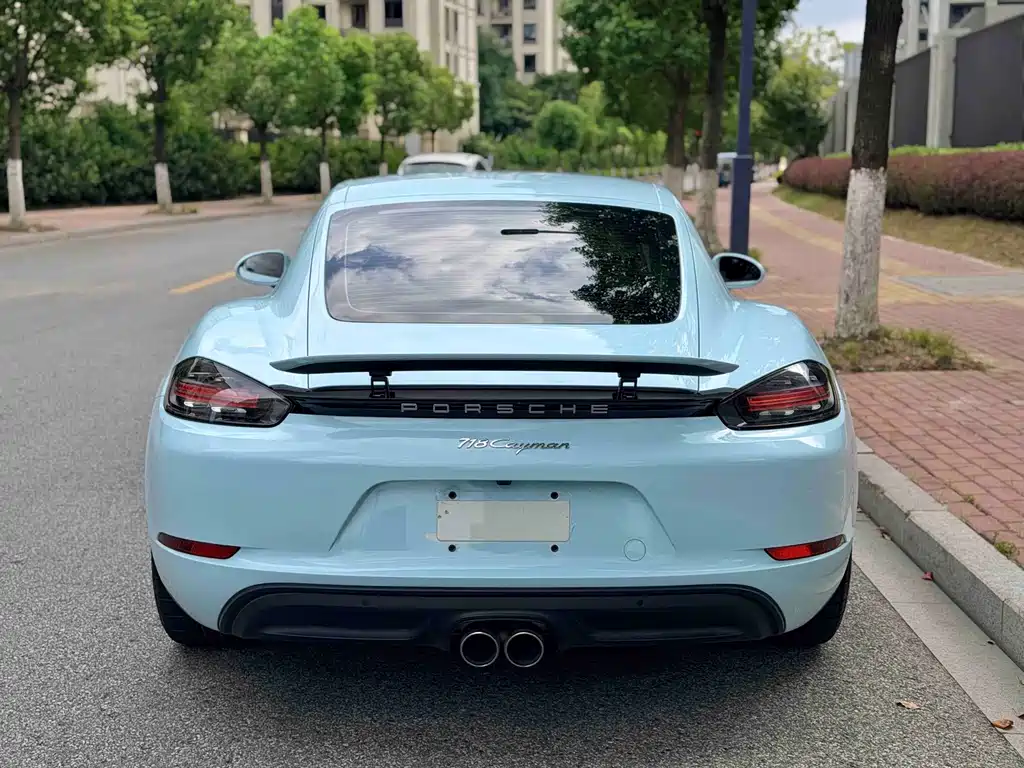 Porsche 718 — миниатюра 13