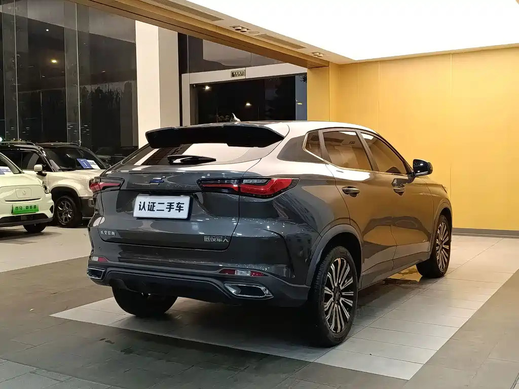 Oshan Oushang X5 — миниатюра 28