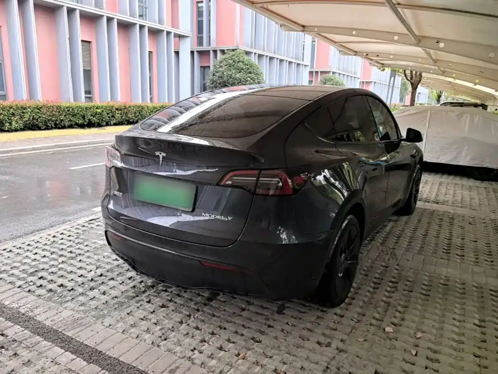 Tesla Model Y — миниатюра 7