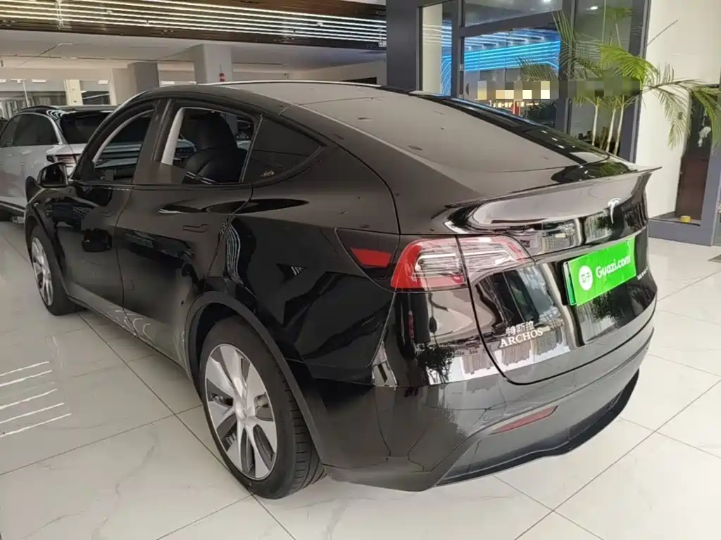 Tesla Model Y — миниатюра 5