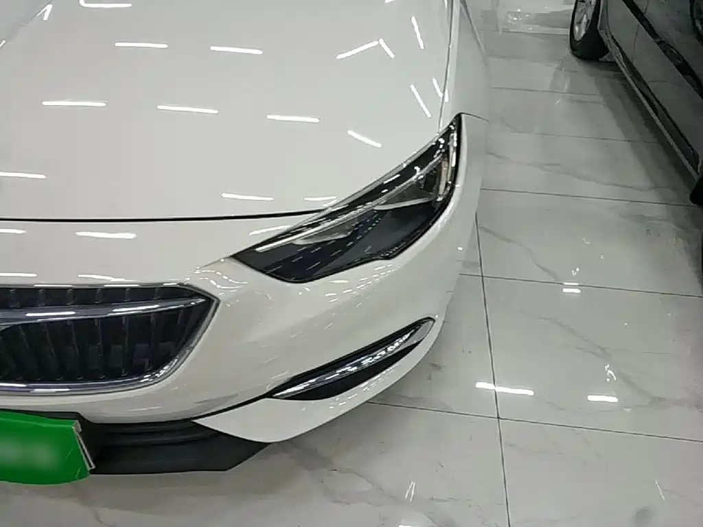 Buick Regal — миниатюра 24