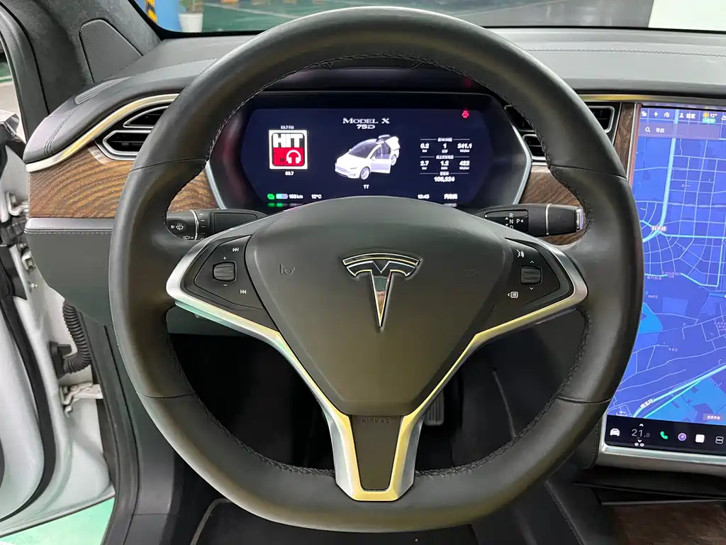 TESLA MODEL X