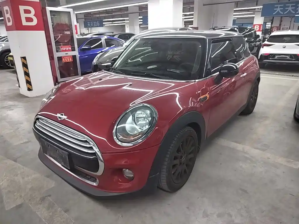 Mini Mini 2017