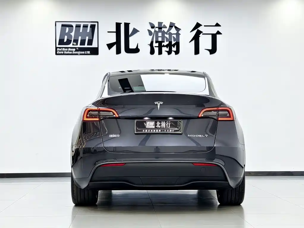 Tesla Model Y — миниатюра 6