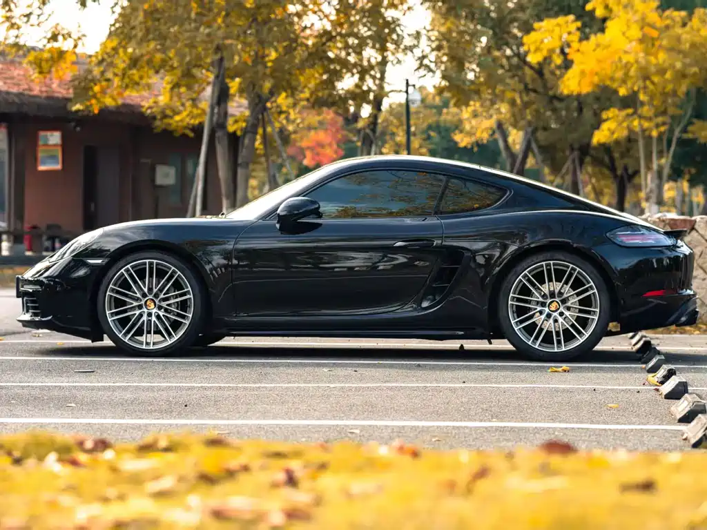Porsche 718 — миниатюра 5
