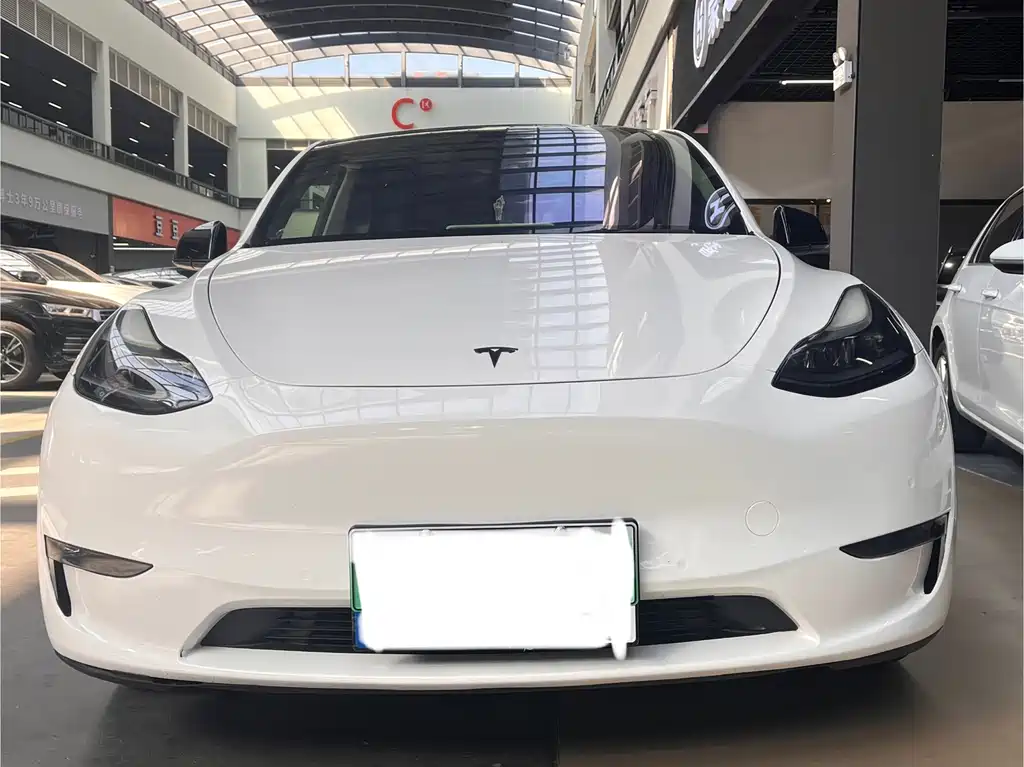 Tesla Model Y — миниатюра 2