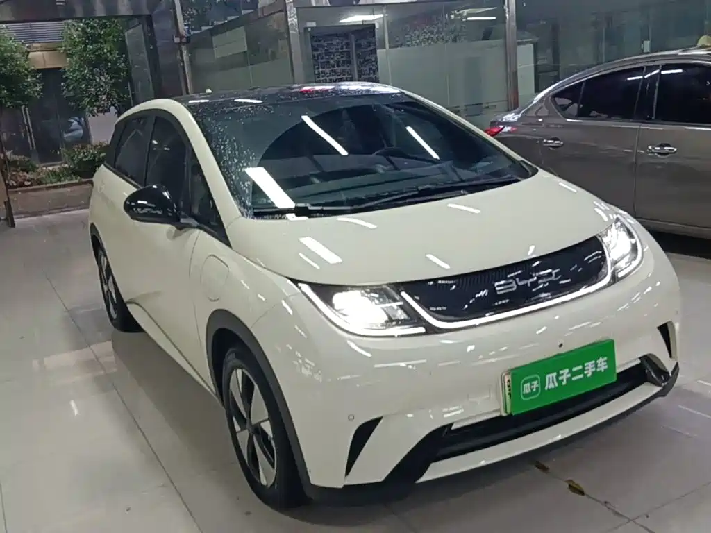 BYD Dolphin — миниатюра 4