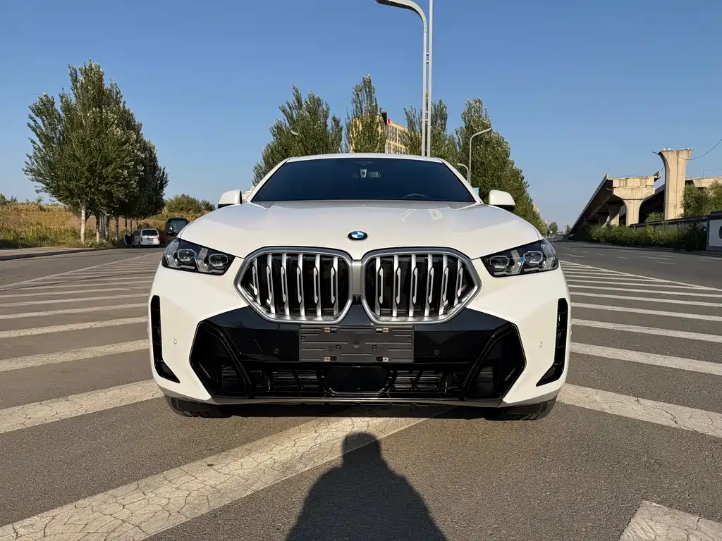 BMW X6 — миниатюра 3