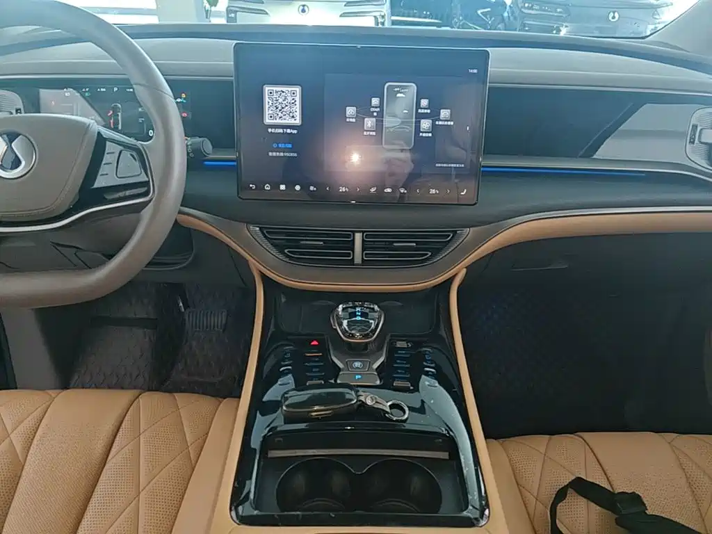 Denza Denza D9 — миниатюра 13