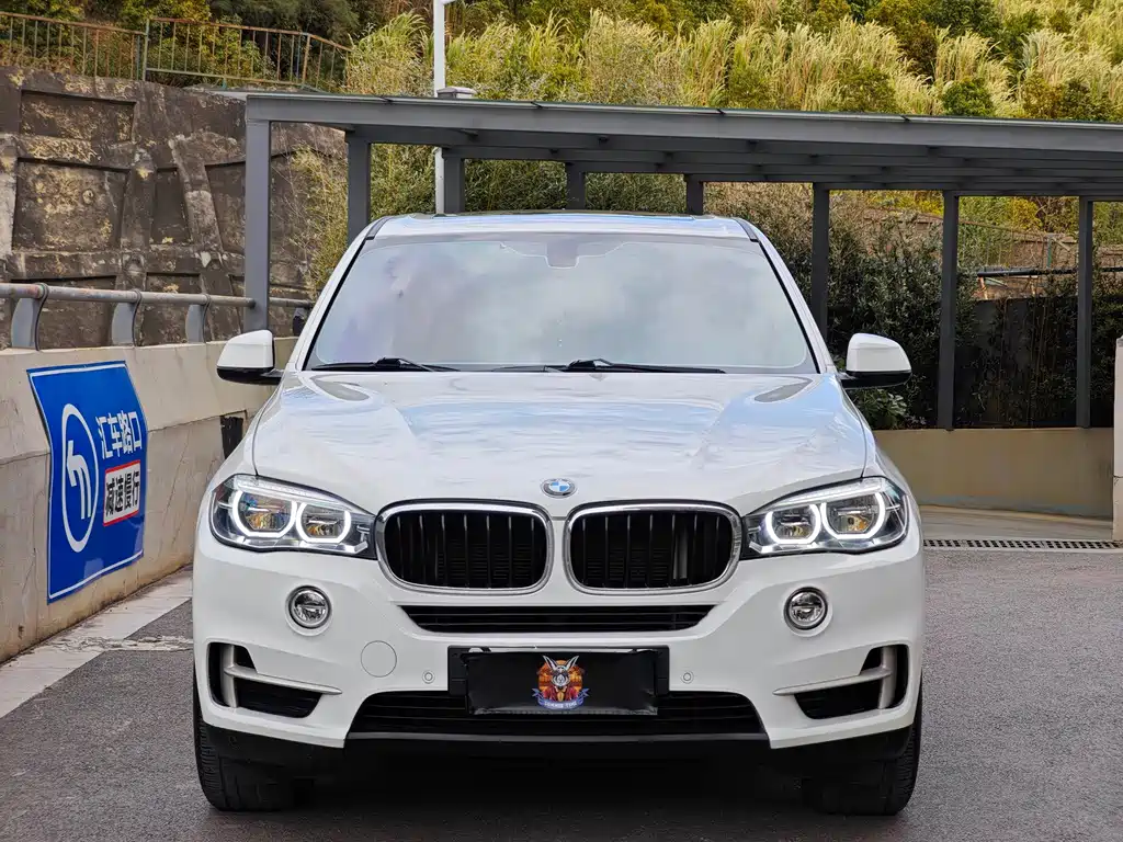 BMW X5 2017 xDrive35i Luxury