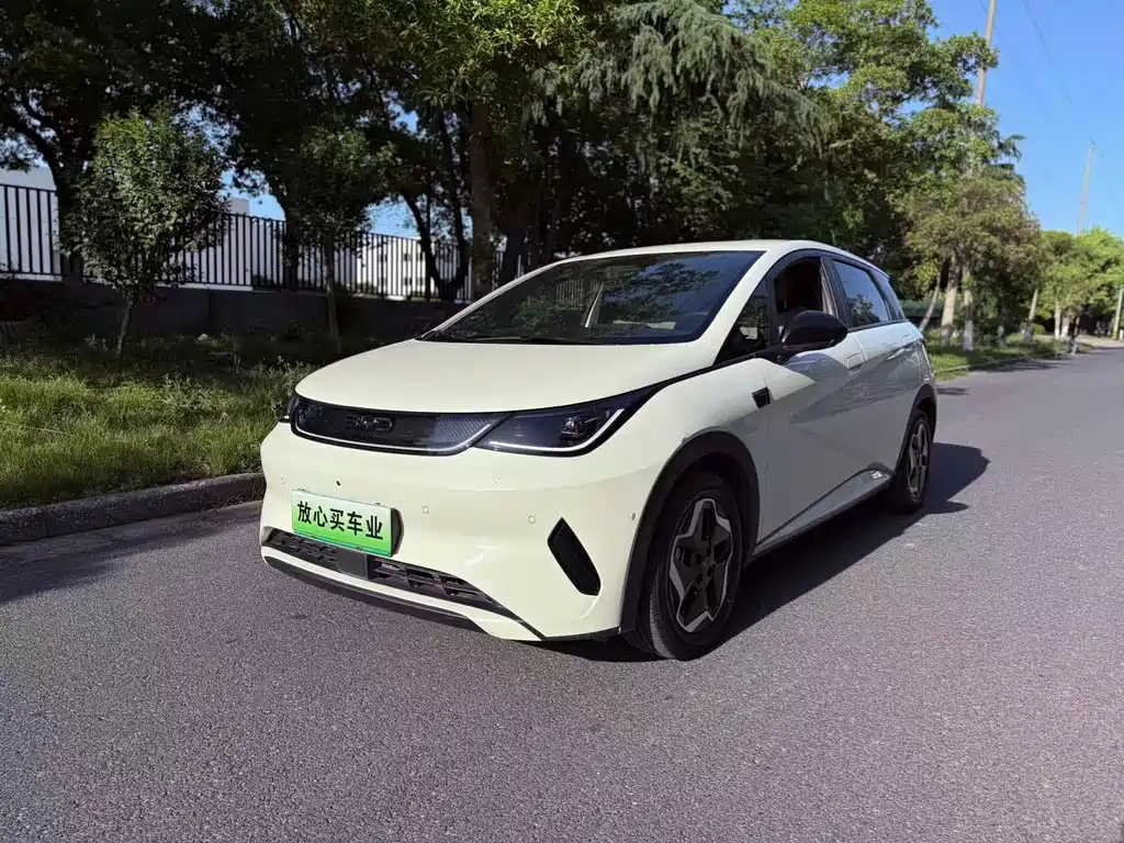 Byd Dolphin 2025