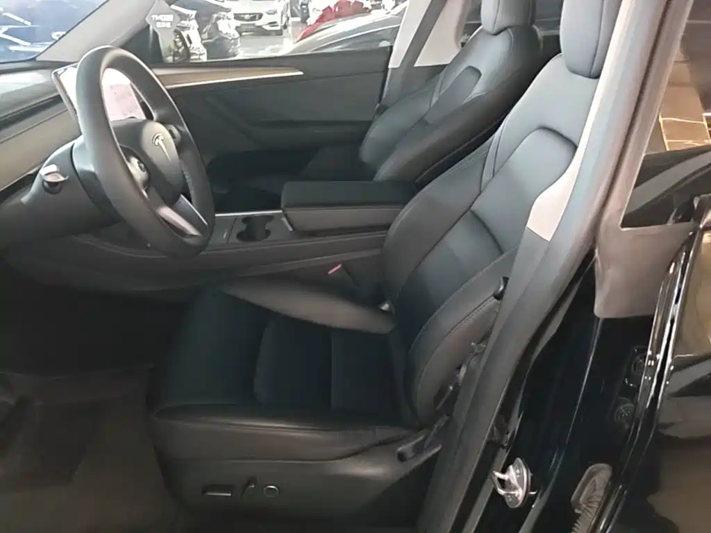 Tesla Model Y — миниатюра 15